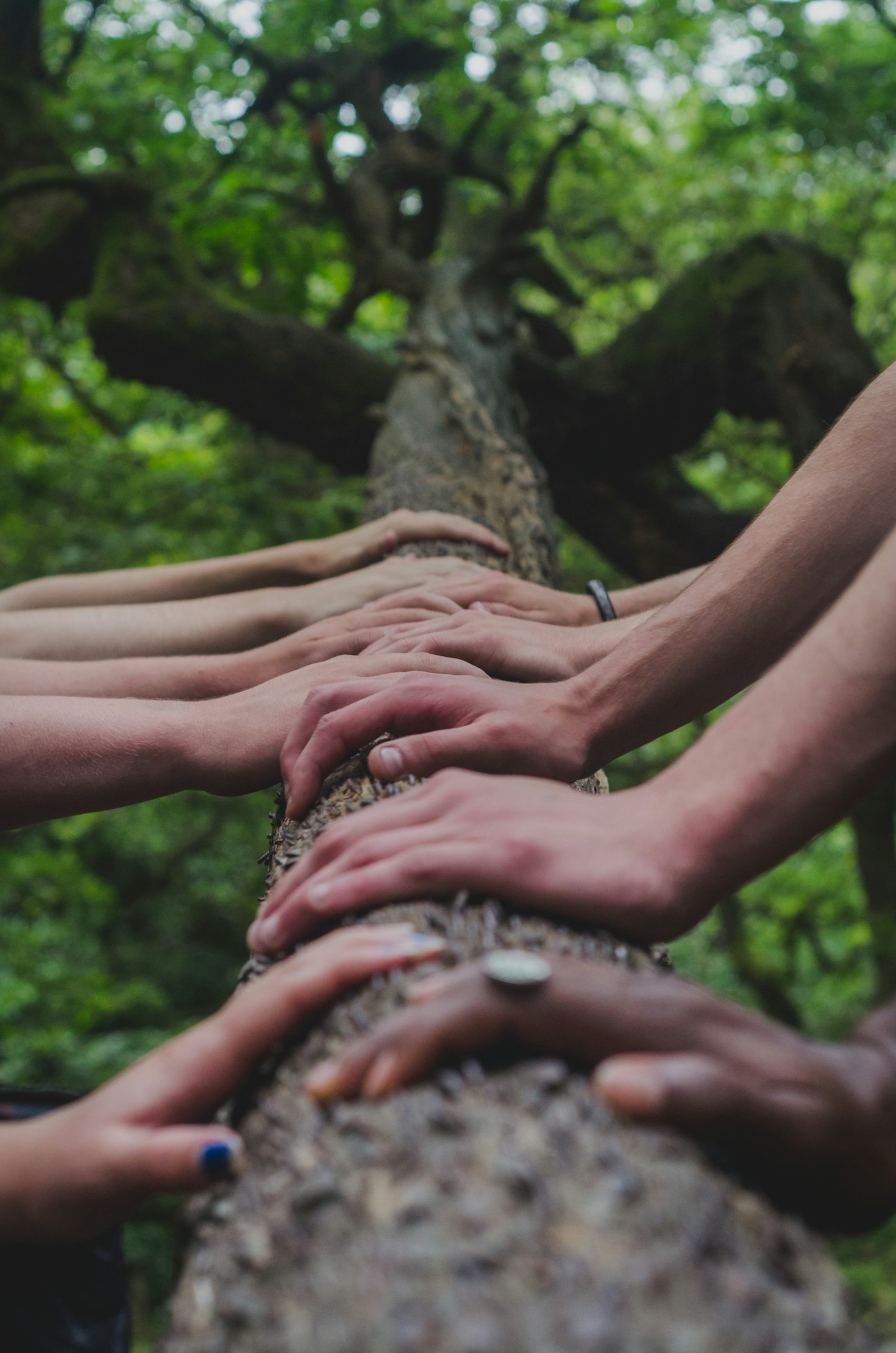Why Open-Mindedness Is Key in Today’s World